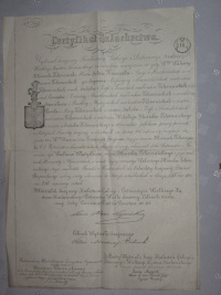 Certyfikat szlachectwa Walentego Mniszek Tchorznickiego - kserokopia